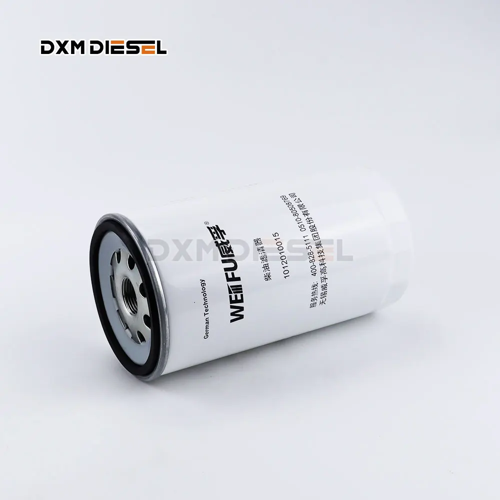 DXM Weifu Fuel Filter 1012010015 High Quality manufacture