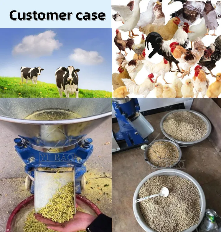 Electric Feed Pellet Machine Philippines Animal Feed Pelletizing