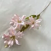 3 orquídeas de lirio
