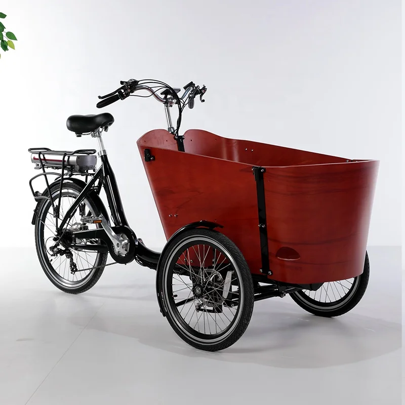 Electrico Tricycle Trike Para Adulto E Pasajeros Cargo Electric Pedal ...