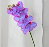 Blu viola