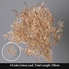 4 Branches Celery Leaf