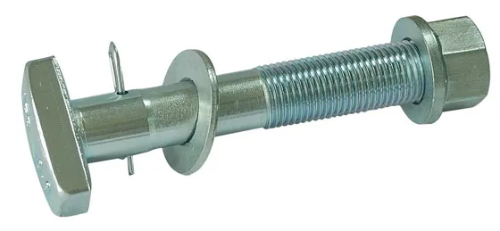 法螺貝 38cm 天然そのままの色(とっても綺麗) 蓋付 法螺貝 38cm 天然