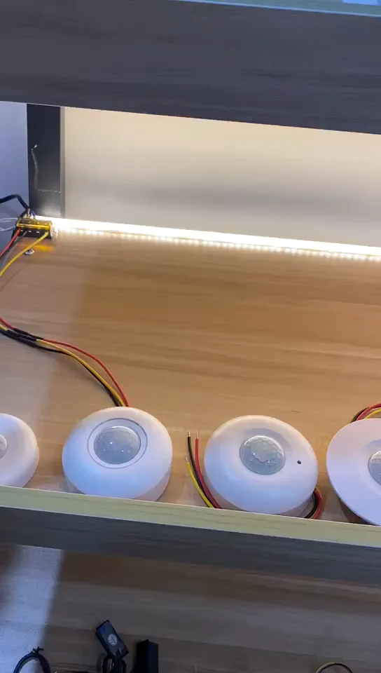 Adjustable Pir Infrared Ray Motion Sensor Time Delay Adjustable Mode ...