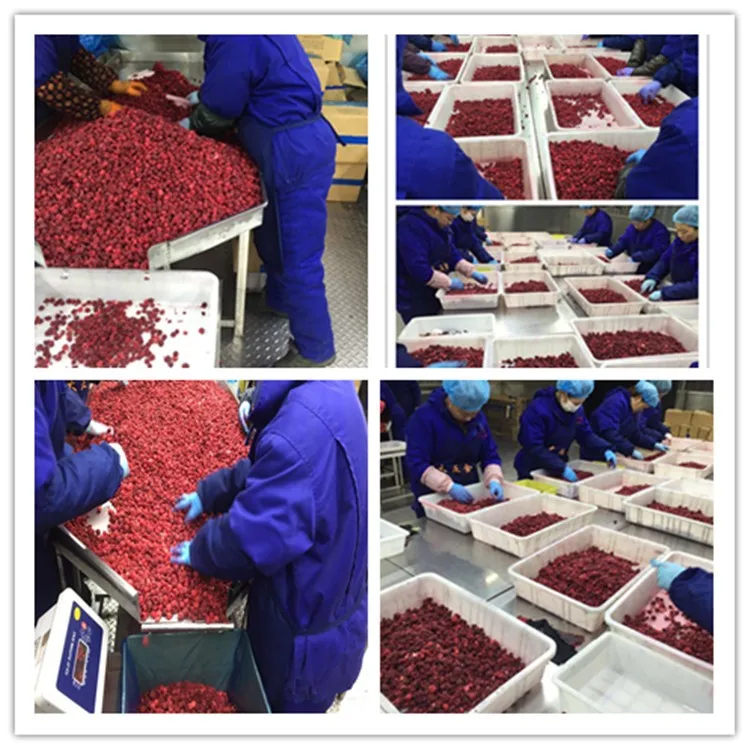 Hot Selling IQF Frozen Raspberry Whole Fruits Good Price Bulk Packaging Durian Type-Freshly Picked and Frozen at Peak Ripeness
