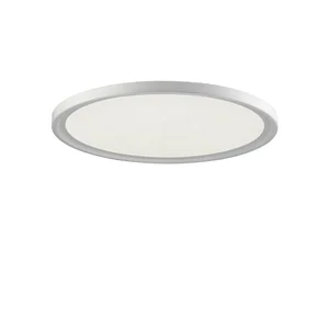 Modern Design LED Ceiling Lamp High Quality Fashion Style for Home Interior Lighting Aluminum Body IP44 for Living Room