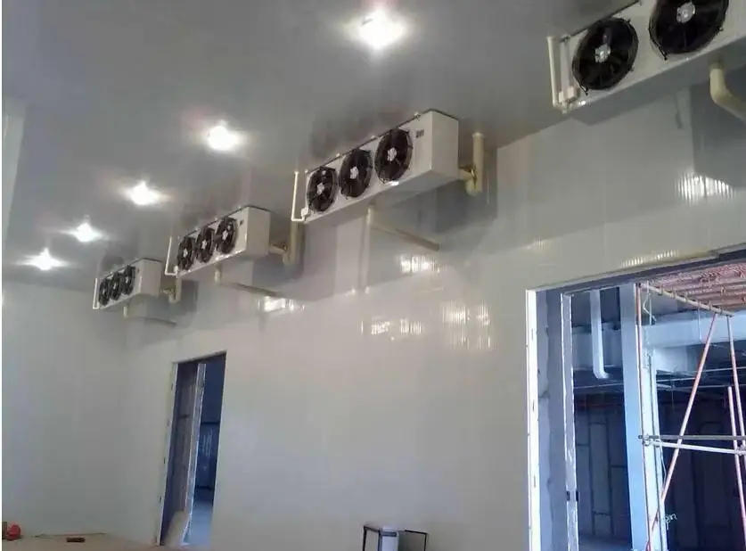 Large cold storage rooms for meat/fish/vegetable processing plants and slaughterhouses
