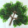 4 ramas del árbol pagoda japonés (12 ramas)
