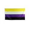 Drapeau non binaire