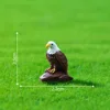 colorful 1. Small Eagle Gu