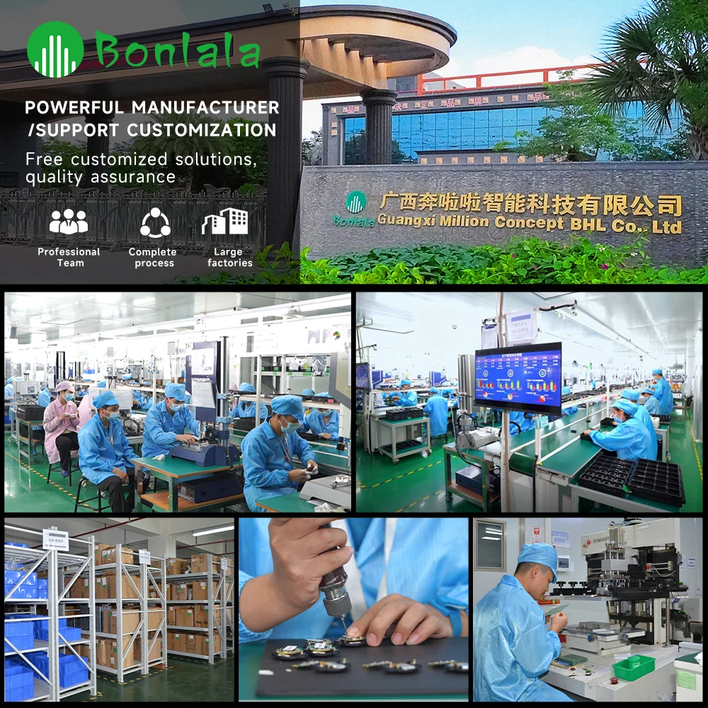 Guangxi Bonlala Intelligent Technology Co., Ltd.
