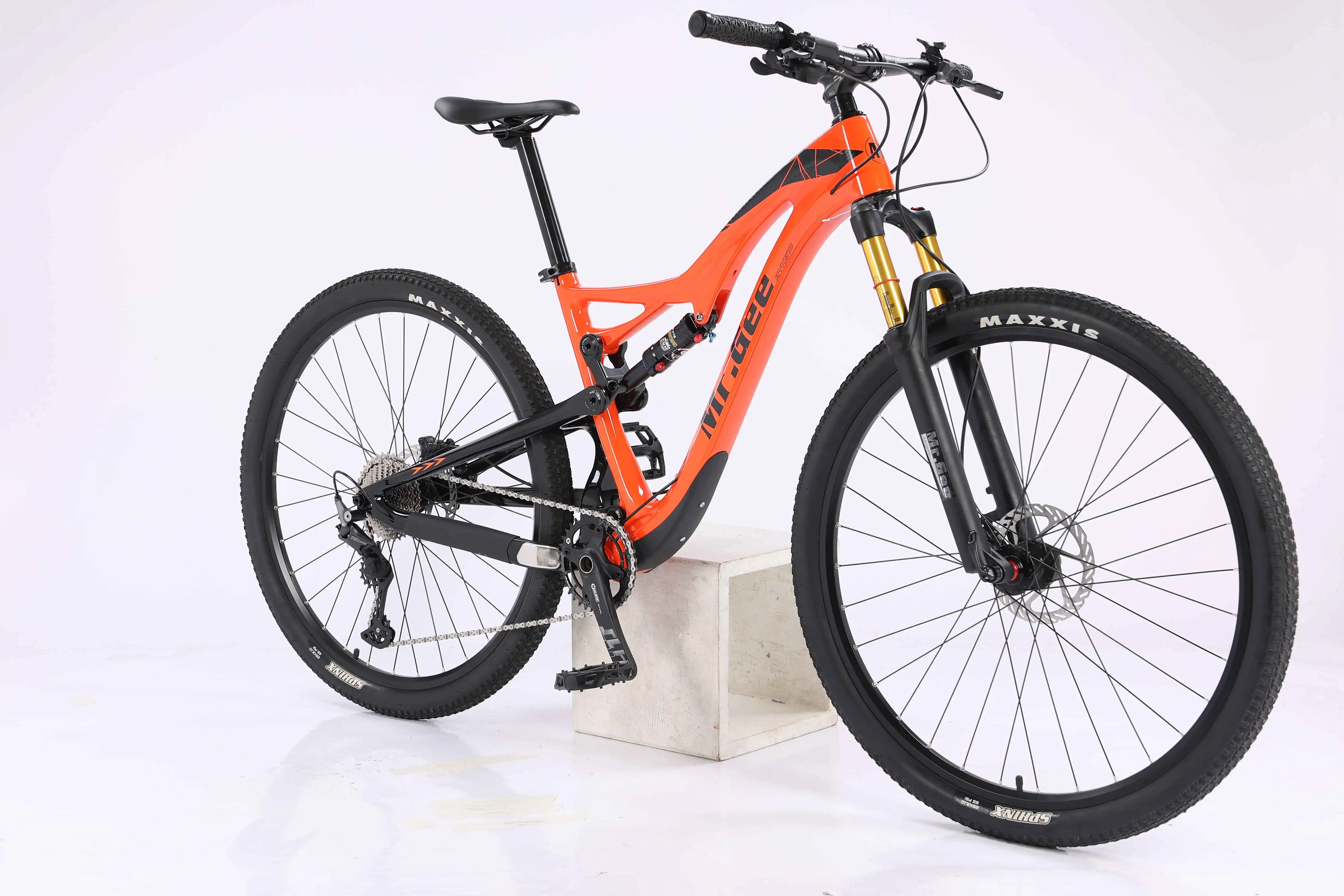 Adult Carbon Downhill Frame Mtb Bike 