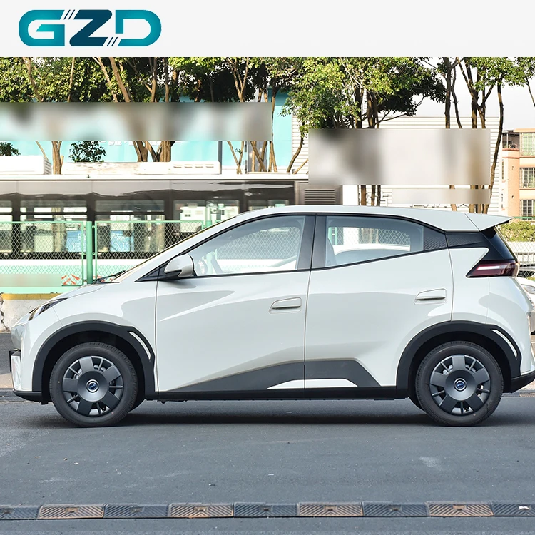 Byd Seagull 2025 International Version Pure Electric Vehicle Mini Car