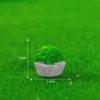 Fan Brick Grass