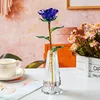 colorful Blue bottle [with cardboard and foam