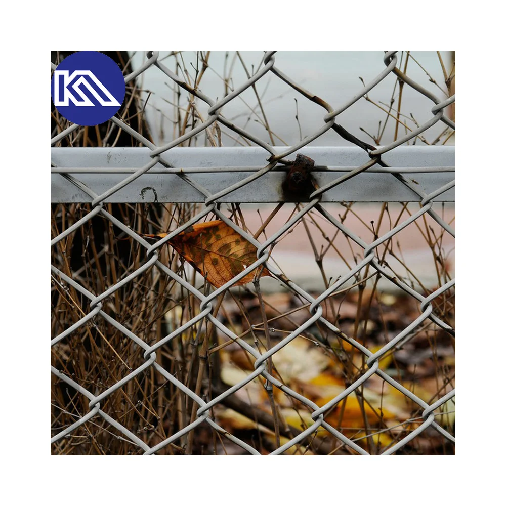 Cheap Price 100 Foot Galvanized Diamond Wire Fence Roll Chainlink Chain  Link Fence Mesh