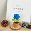Plante en pot rose bleue
