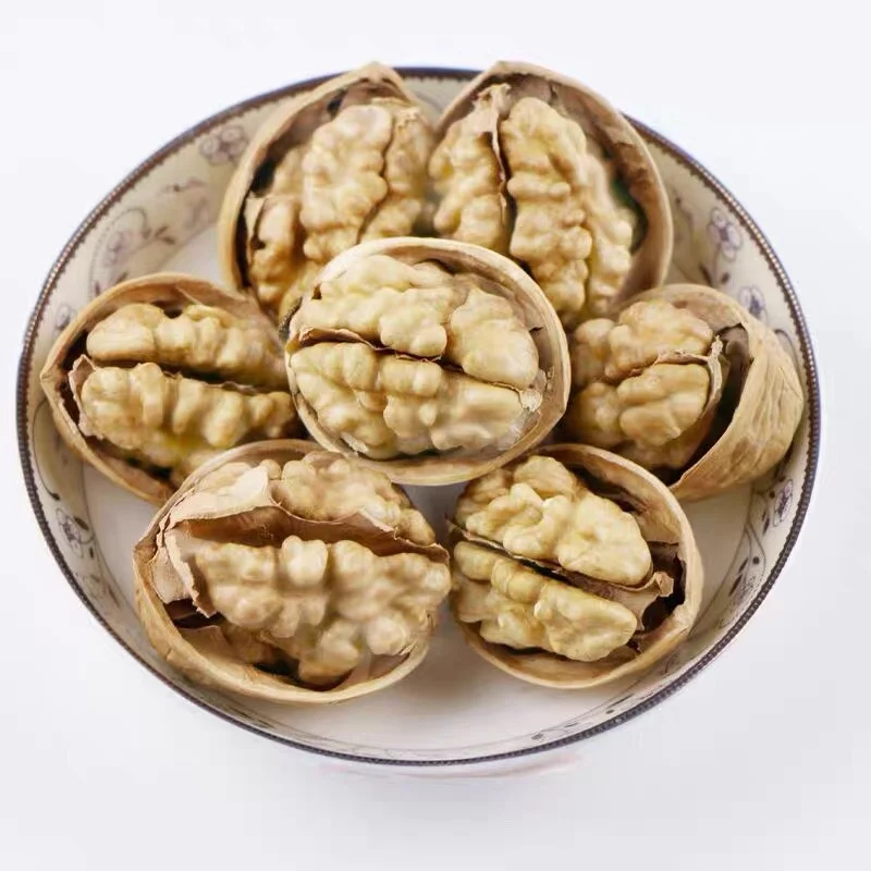 premium private label organic raw walnut in green shell