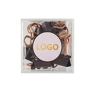 DIY Sticker Binder Clips Small Paper Clamps for Office Supplies 19mm Fancy Metal Binder Clips Paper Clips