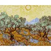 Olive Trees with Yellow Sky and Sun