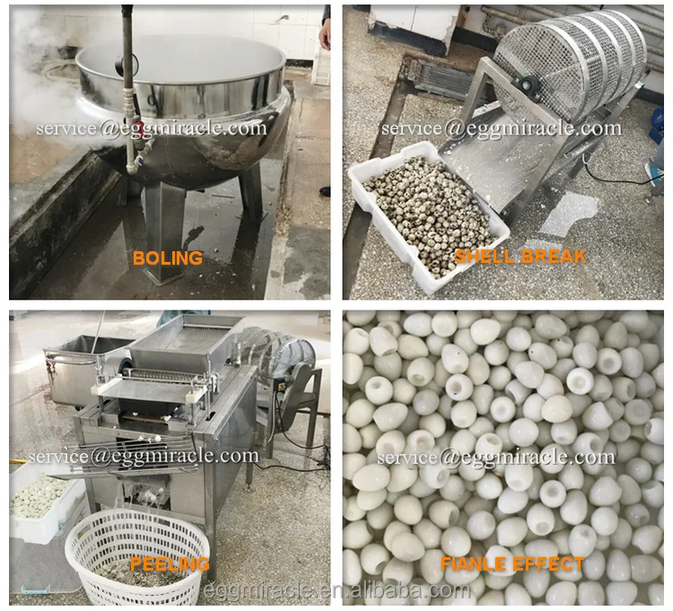 egg shell crusher