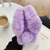 Púrpura