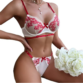 Hot Selling Women's Sexy Transparent Two-Piece Underwear Contrast Color Embroidery Underwire Pure Desire Temptation Lingerie Set