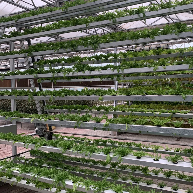 China Factory Aeroponic Cloner 150/128/80 Site Hydroponic Clone Shell  Hydroponic Cloning Machine for Plants