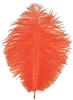 Orange lumineux