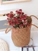 30 bulles de chocolat