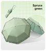 Spruce Green
