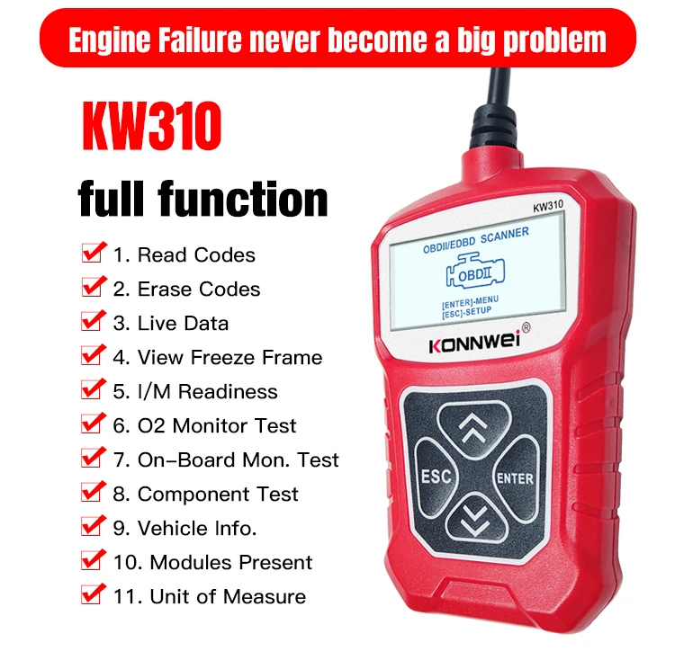 MS309 (2).jpg