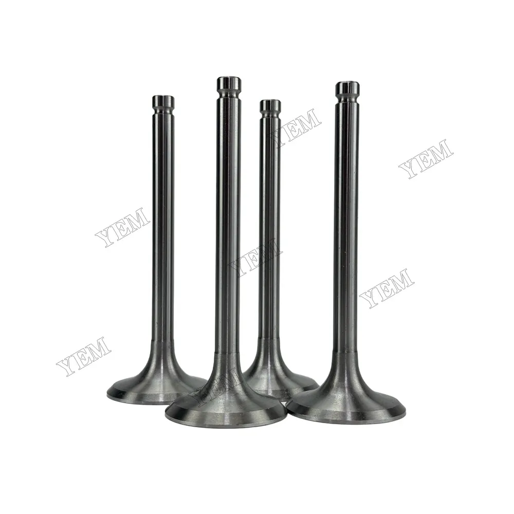 Intake Valve Fit for New Holland SNH4105 Engine