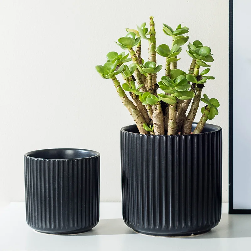 Modern Durable Indoor Ceramic Matte Flower Pot Wholesale Bonsai Pots