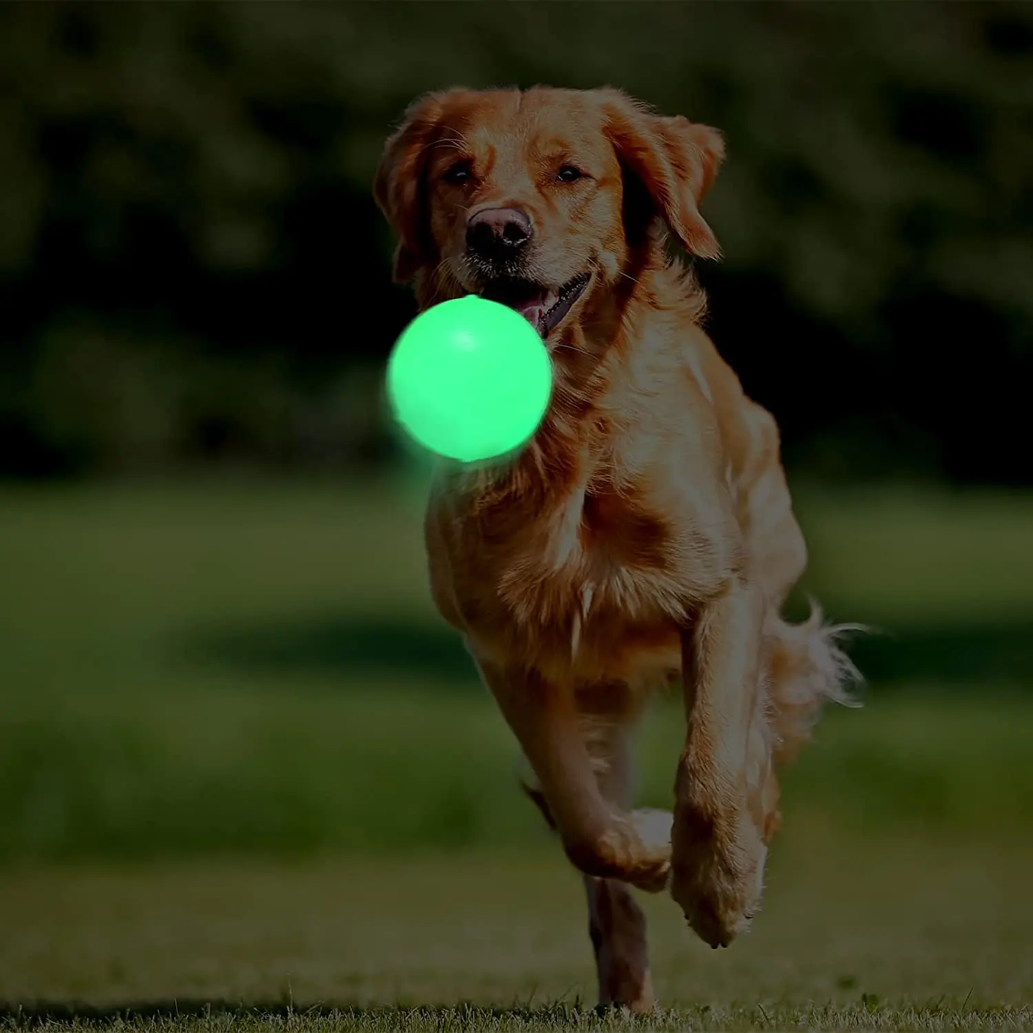 Light Up Dog Ball Glow In The Dark Rubber Dogs Fetch Toy Balls Come