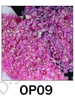 OP09