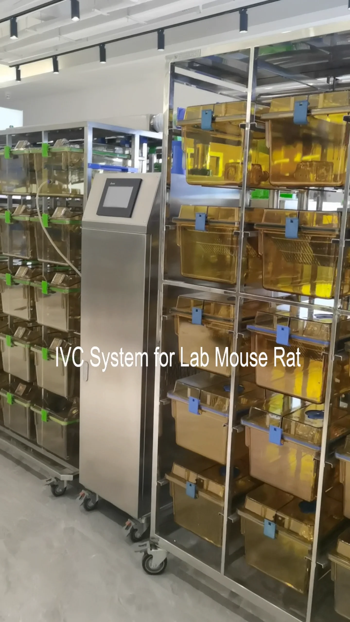 Laboratory Animal Individually Ventilated Cage Lab Ivc Rodent Rack