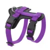 Morado