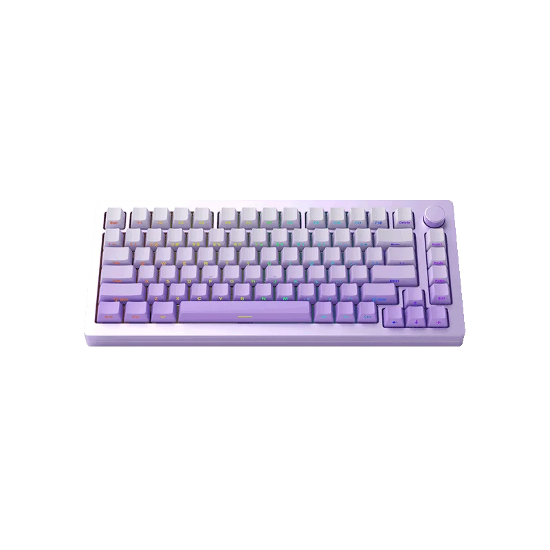 MonsGeek M1 HE ラピッドトリガー搭載 MONSGEEK M1HE パープル