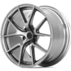 Race Silver