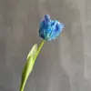 Blu