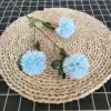 Chrysanthème à trois têtes bleu ciel