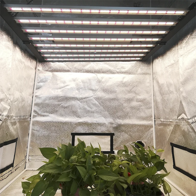 Light Same Quality As  301b 640W Full Spectrum Led Grow Light to Work