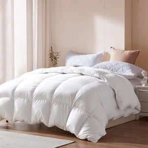 Customised Down Content 90% White Duck Down Duvets Down Comforters Hotel High Quality Comforter Duvets