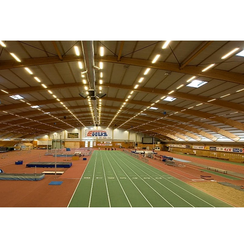 Steel Structure Event Facility Construction Gym / Metal Roof Steel Truss Structure Frame Badminton Gym Made in China