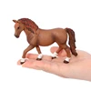 4243 Caballo Lipizzano