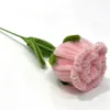 Pink Rose