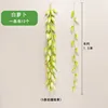 White radish [1.5 meters]