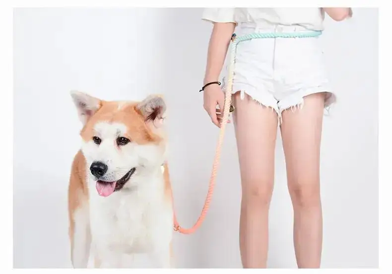 Cowoone Ombre Rope Lead Custom Dog Leashes for All Seasons