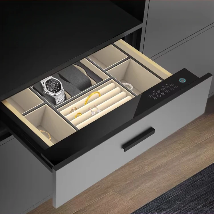 CEQSAFE Slimme Amerikaanse high-end beveiligde ladekluis voor horloges en sieraden